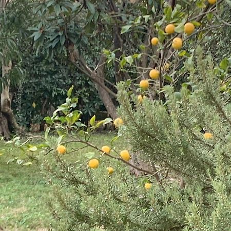 Paradisa28 - Amalfi - Zona Ospedale Cisanello Пиза Экстерьер фото