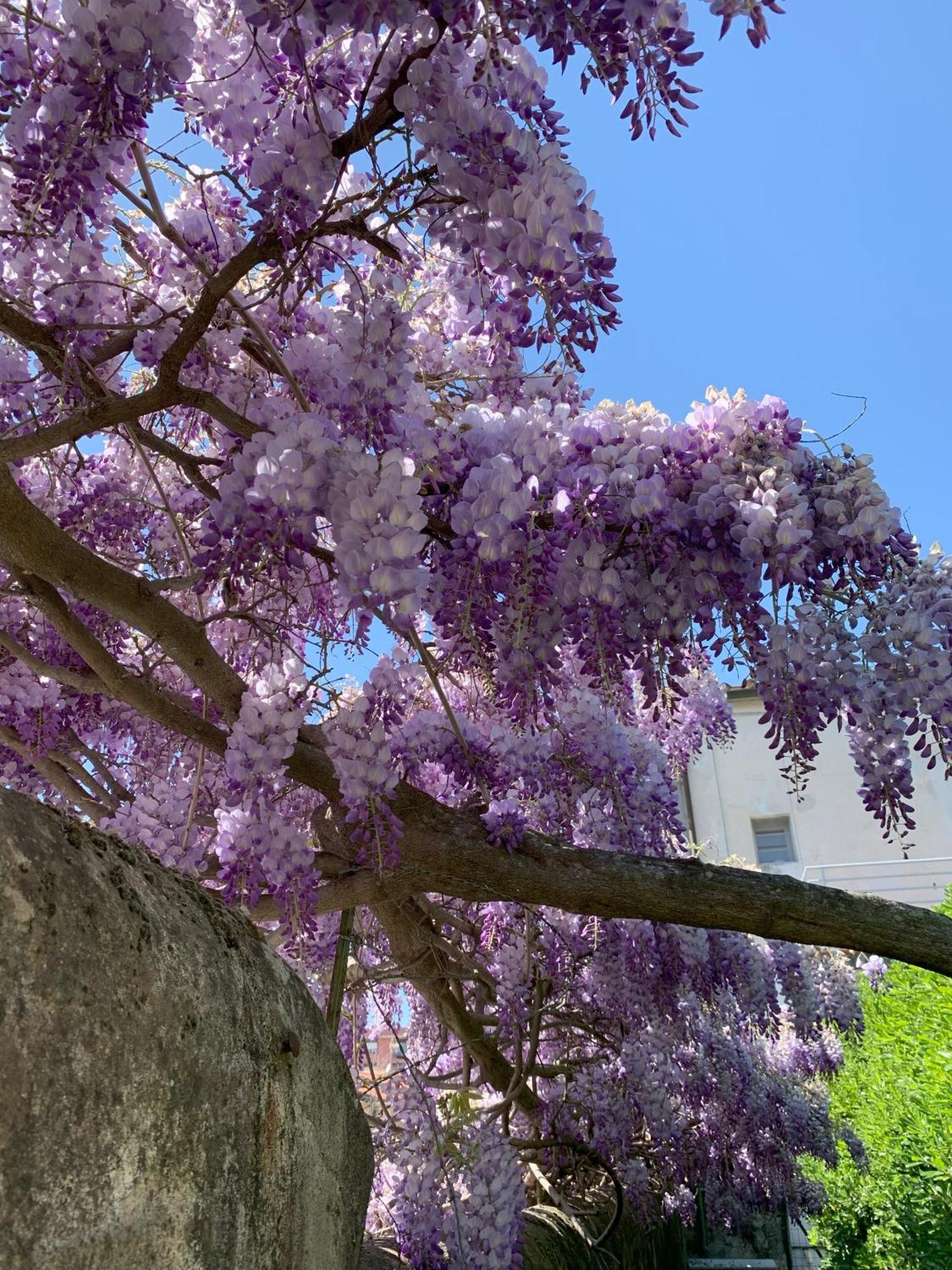 Paradisa28 - Amalfi - Zona Ospedale Cisanello Пиза Экстерьер фото